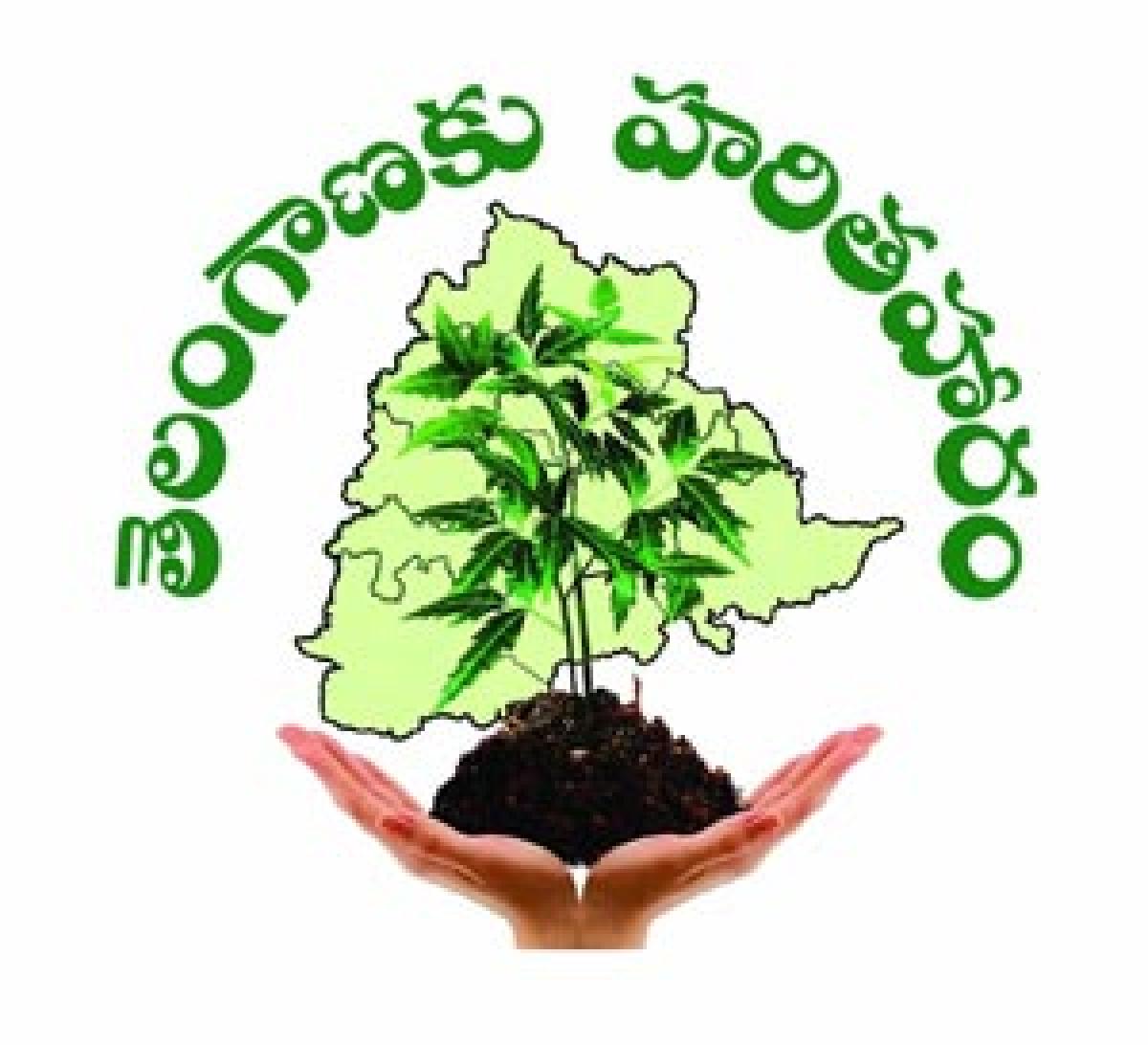 GHMC set to plant 30L saplings