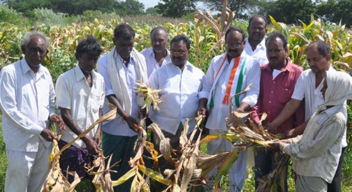 Congress demands compensation for crop losses