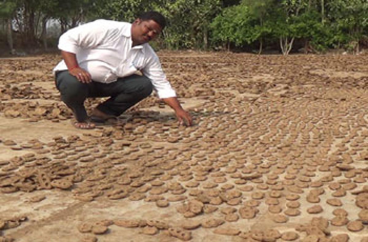 Keeping tradition alive by record production of cow dung cakes