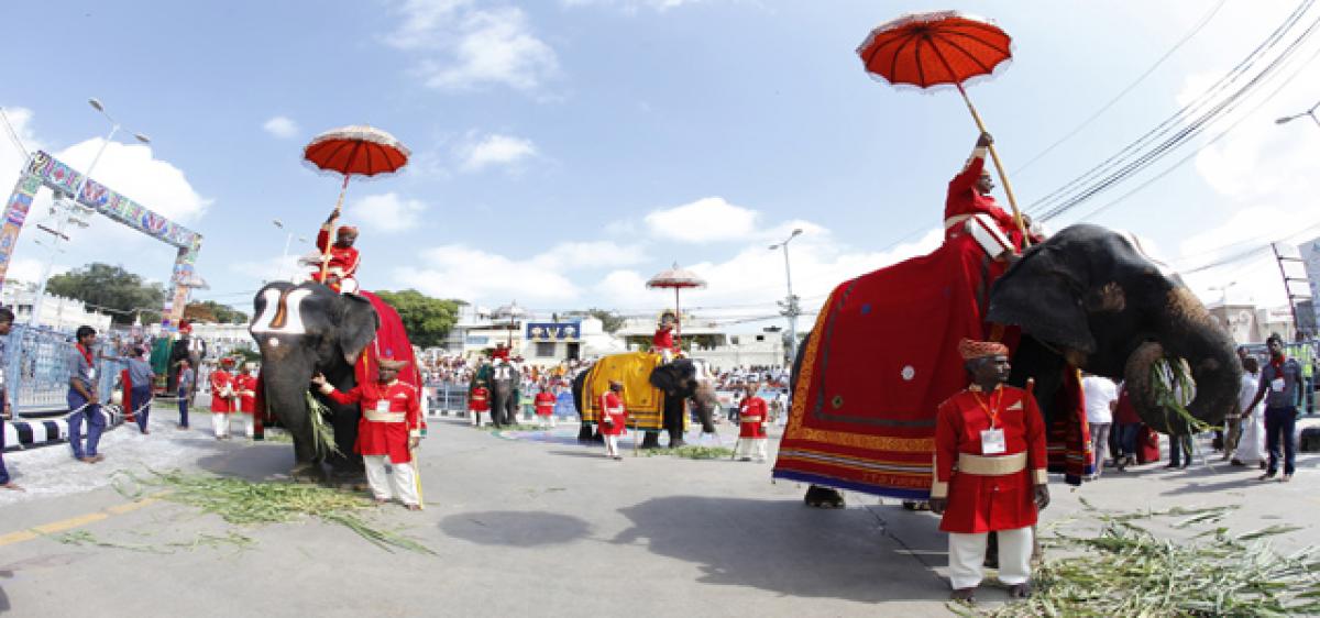 TTD grooms pachyderms for divine service