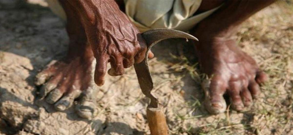 2 more Madhya Pradesh farmers commit suicide