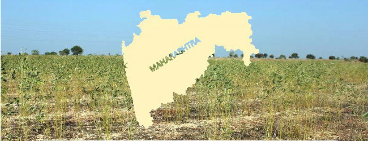 Dividing Maharashtra: Vidarbha=Serbia, Konkan=Cuba