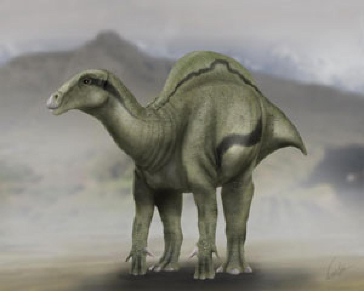 New dinosaur species found in Spain