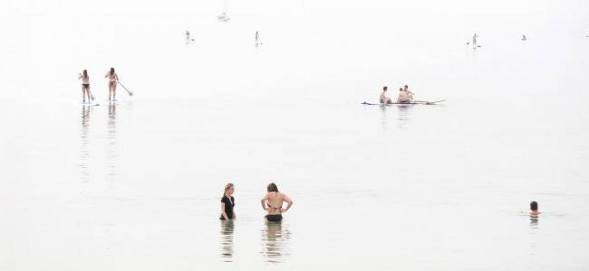 Sap surfing on the Mediterranean Sea