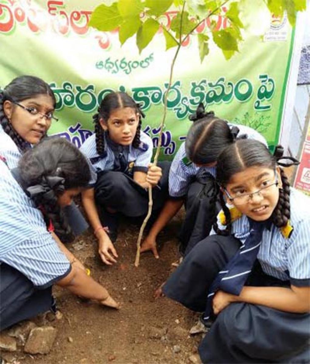 Haritha haram