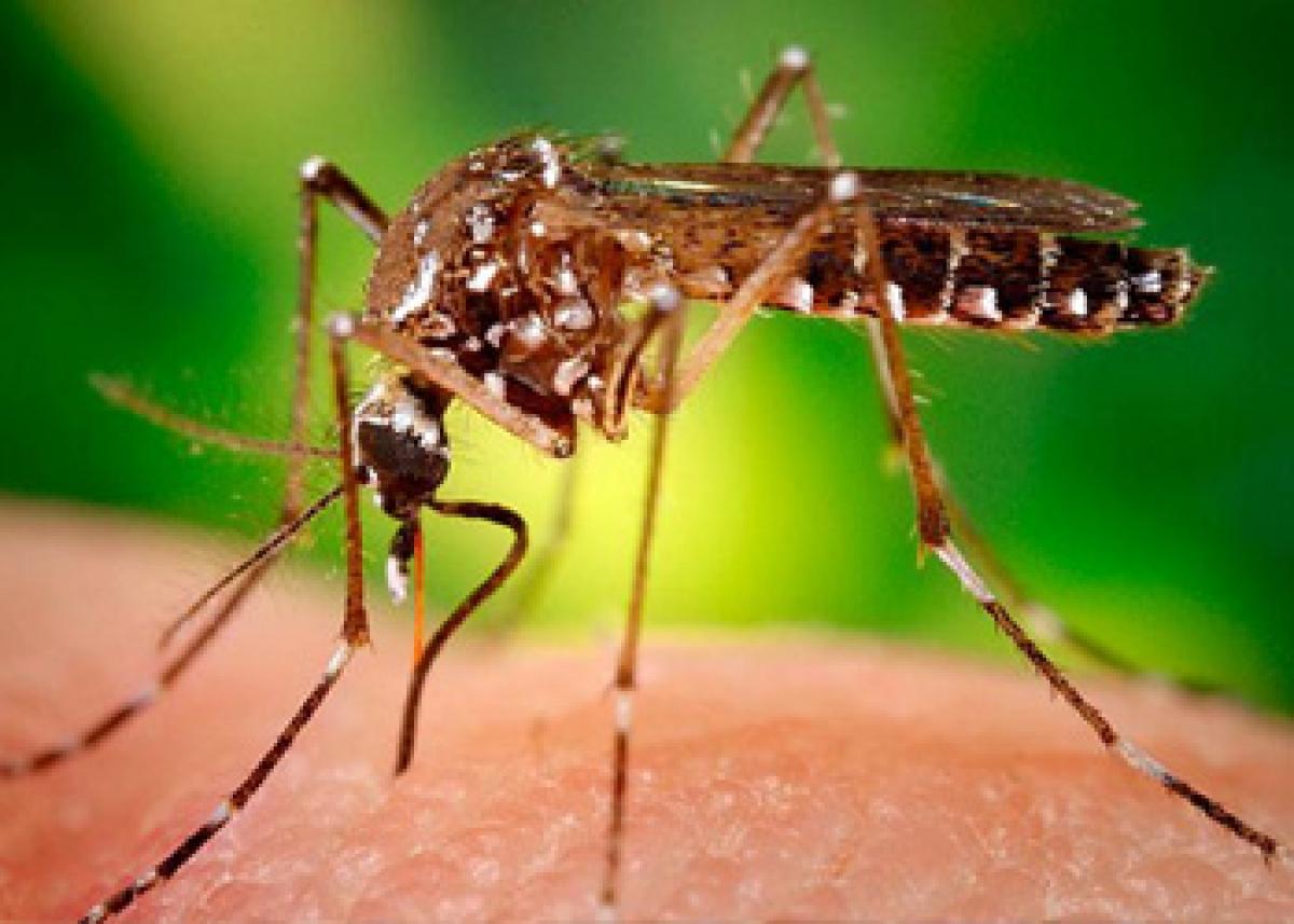 Indian Ministry of ​H​ealth ​and family welfare​ issues guidelines on Zika Virus Disease