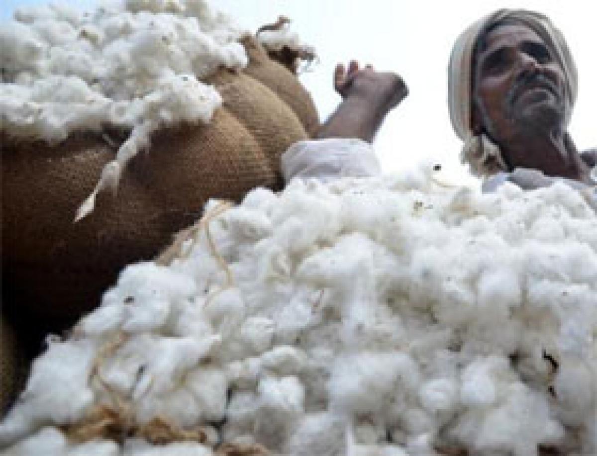 CCI opens 83 cotton purchase centres in State