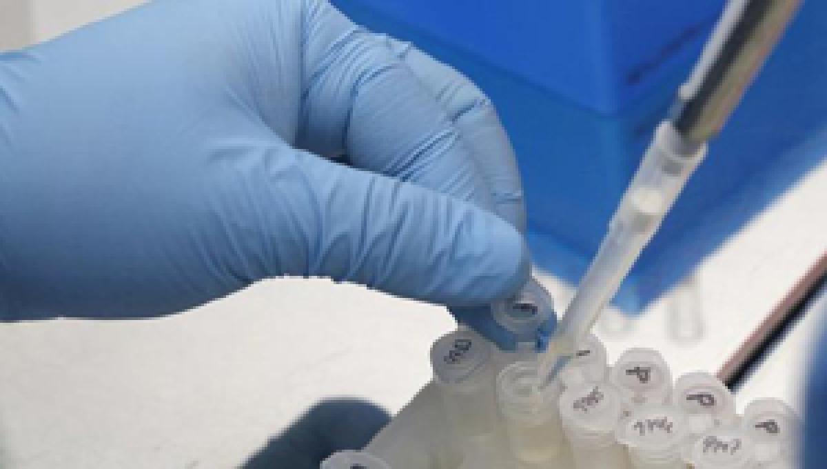 Indian origin researcher develops vaccine to fight Chikungunya virus