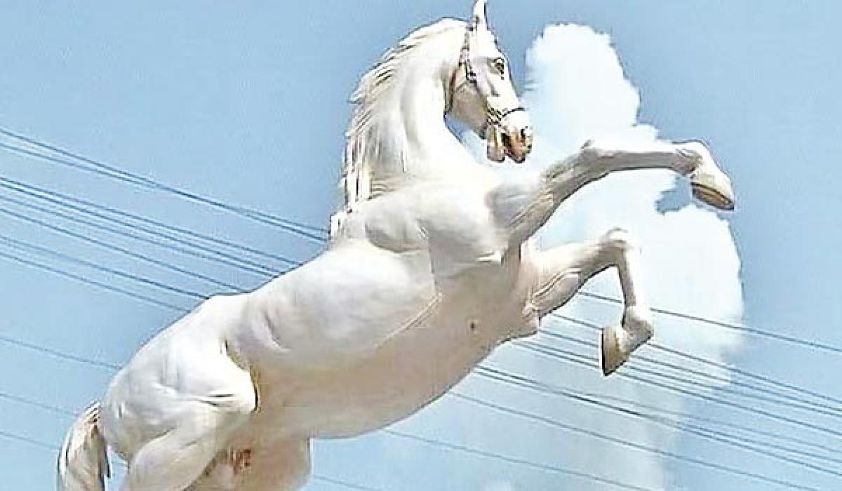 Statue of Shaktiman removed in two days