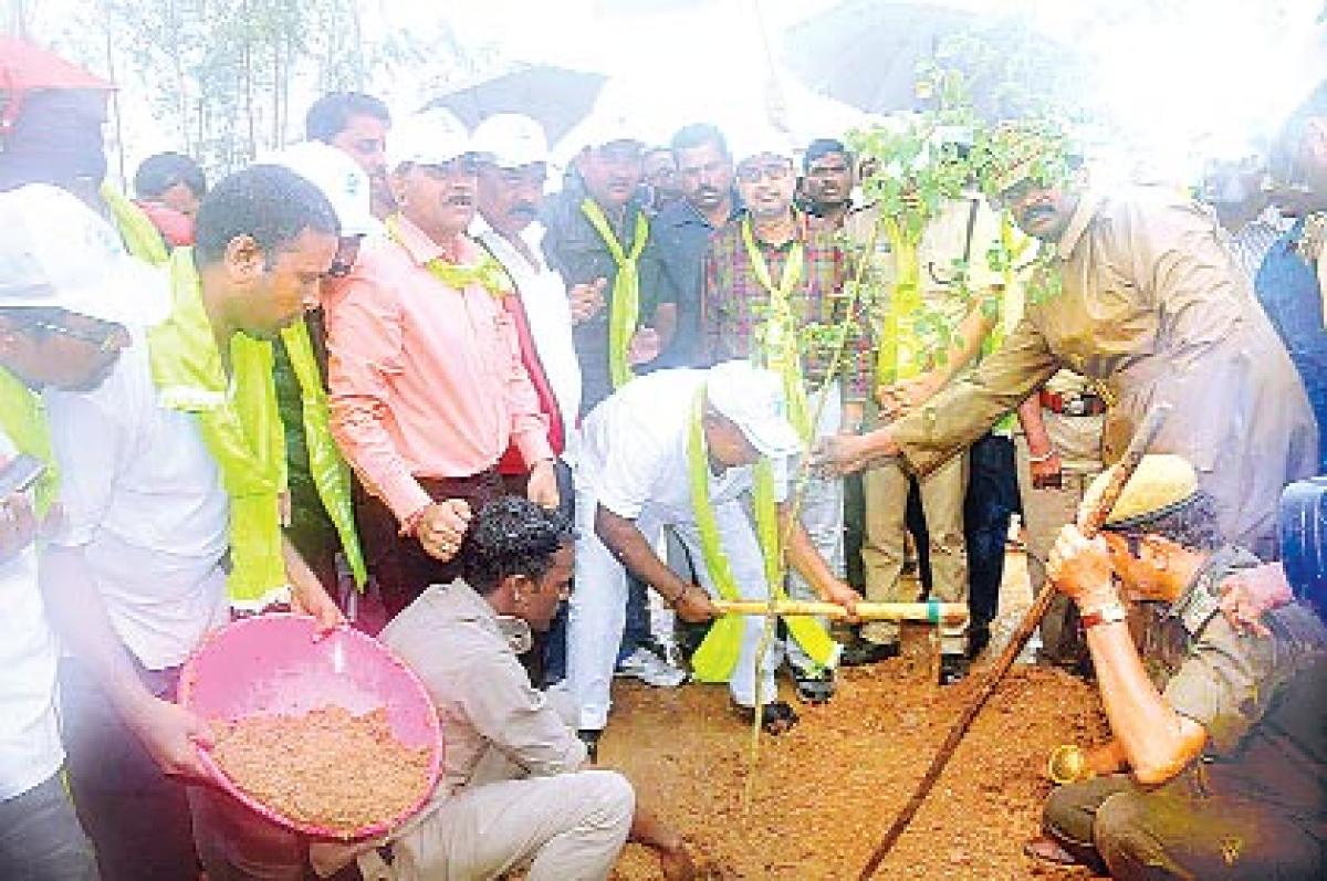 Haritha Haram:  government to appoint caretakers