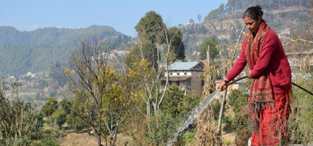 Women left to face brunt of water woes