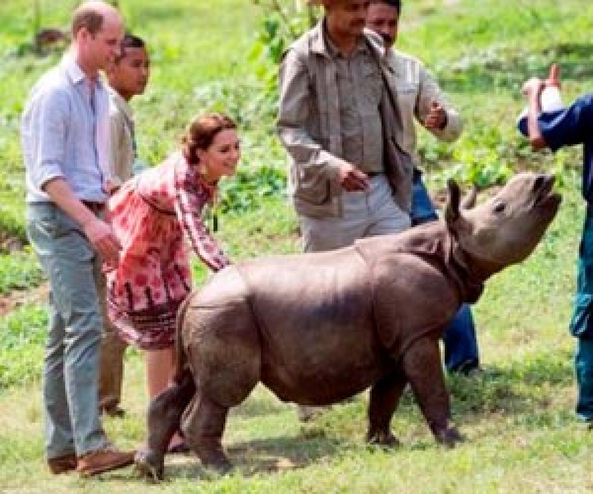 Duke and Duchess of Cambridge visit Kaziranga