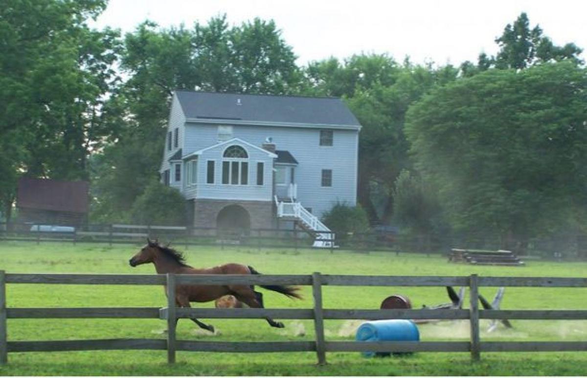 Buy a 35-acre farm for $200 and 1,000 words in the US!
