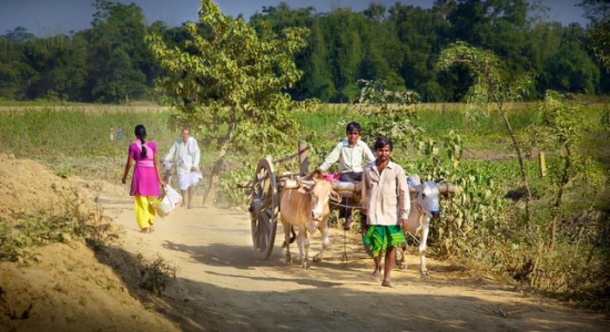 Days of Illiteracy in this Assam village over