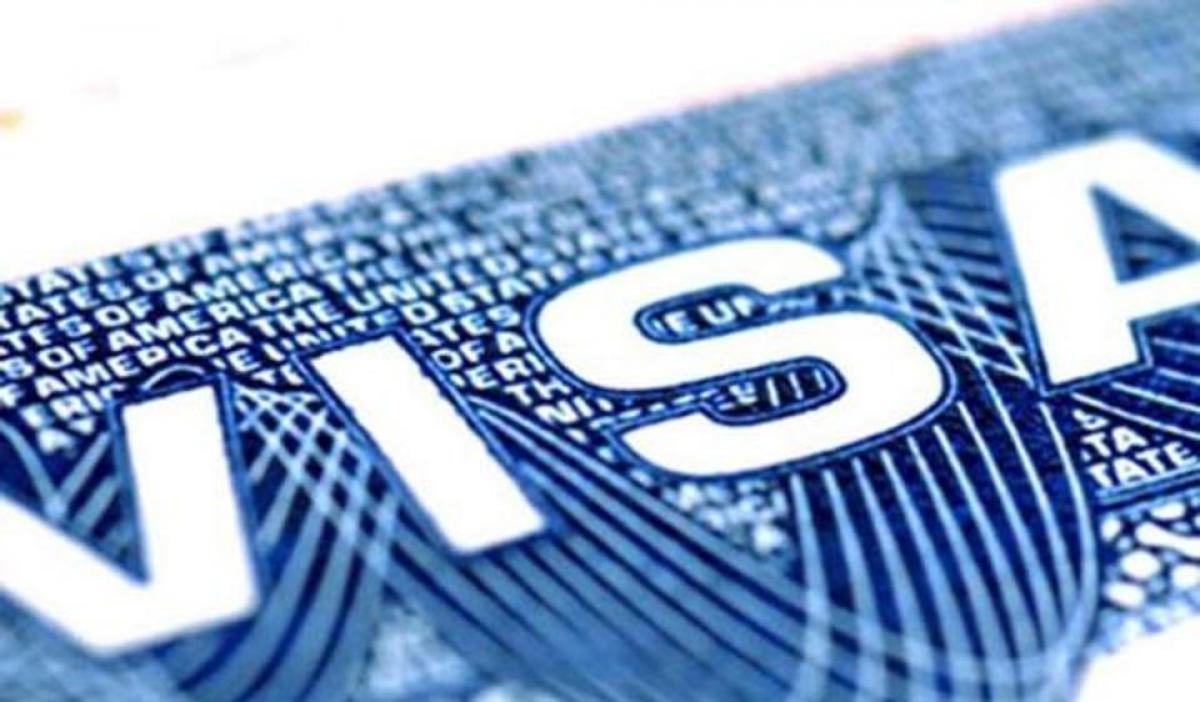 India IT Rejects US Claims, Says TCS, Infosys Got Only 8.8% Of H-1B Visas
