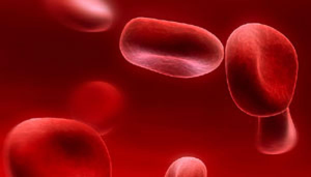 Scientists redefine how human  blood is made