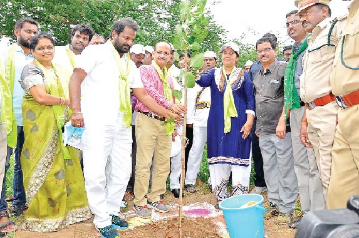 Green Mission a huge hit: officials