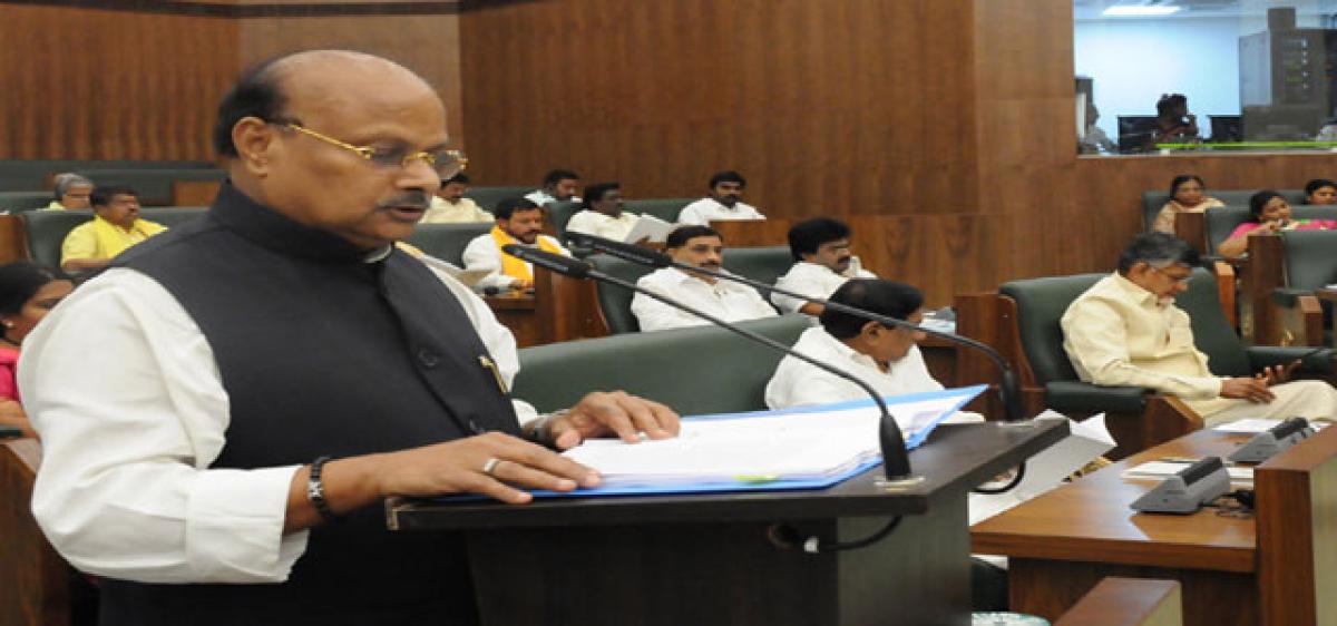 AP Budget set to revitalise rural economy