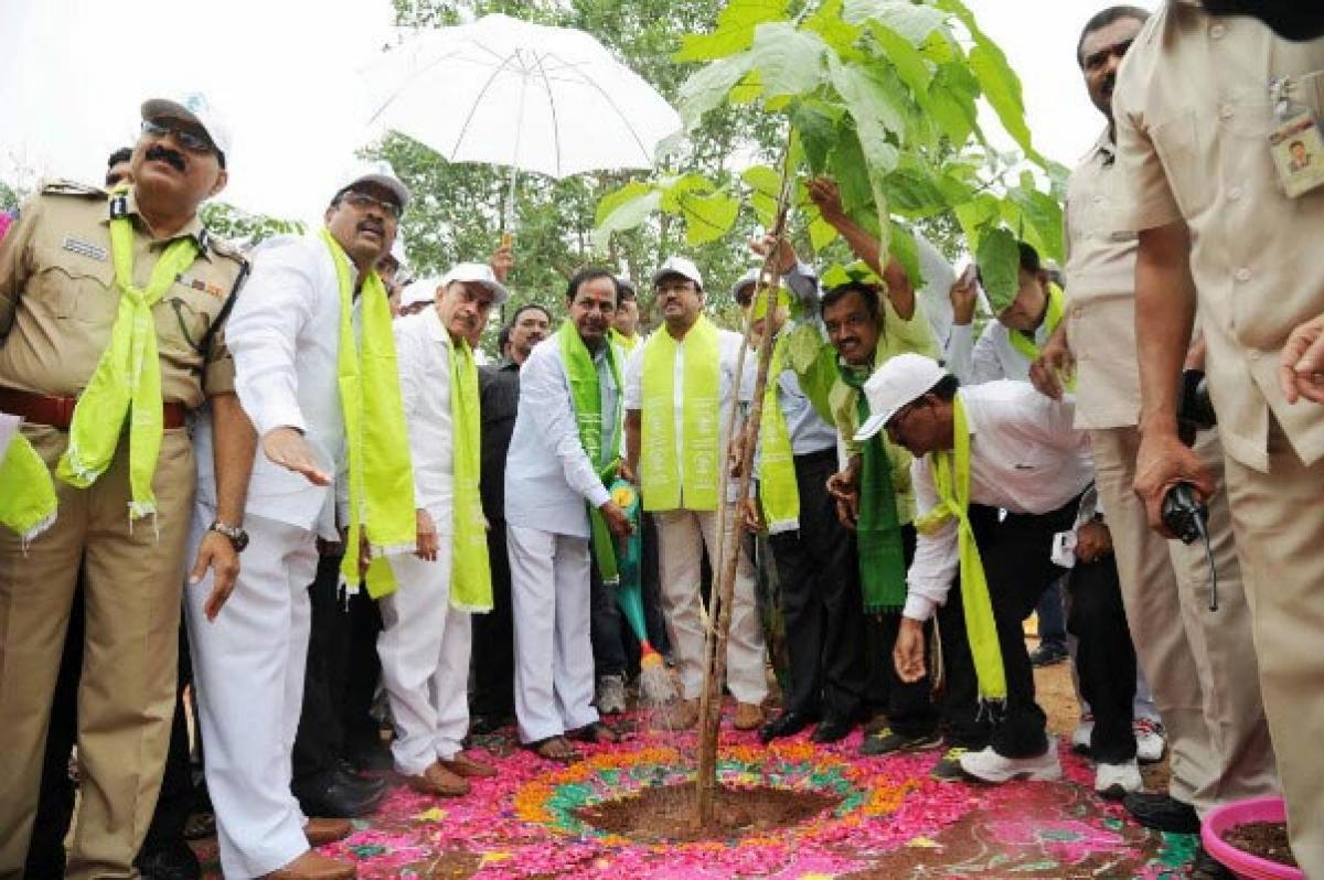 Plant a sapling rear it as a child