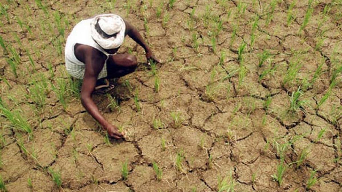 KCR govt blind to unprecedented drought