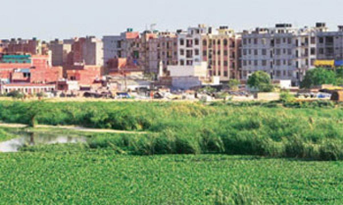 MLA vows model housing colonies