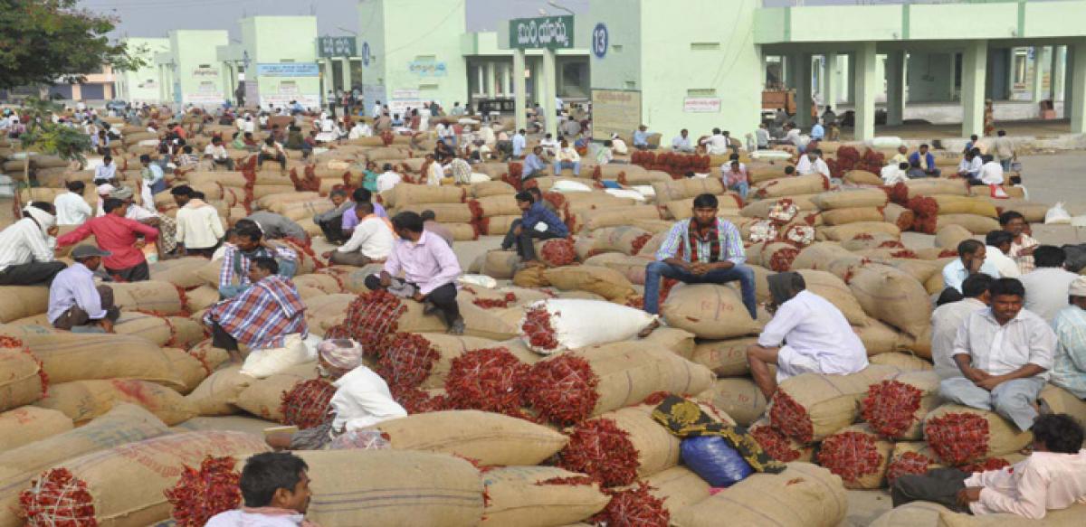 Farmers cheer as red chilli prices boom