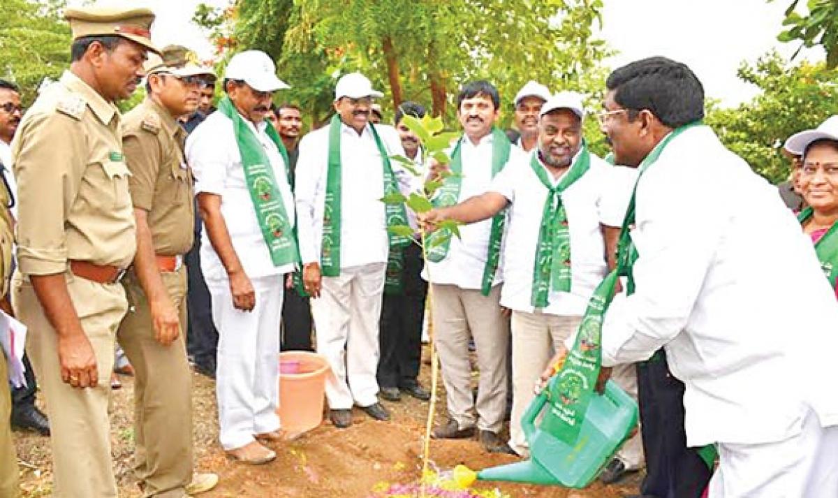 4 crore saplings to be planted in 10 assembly constituencies