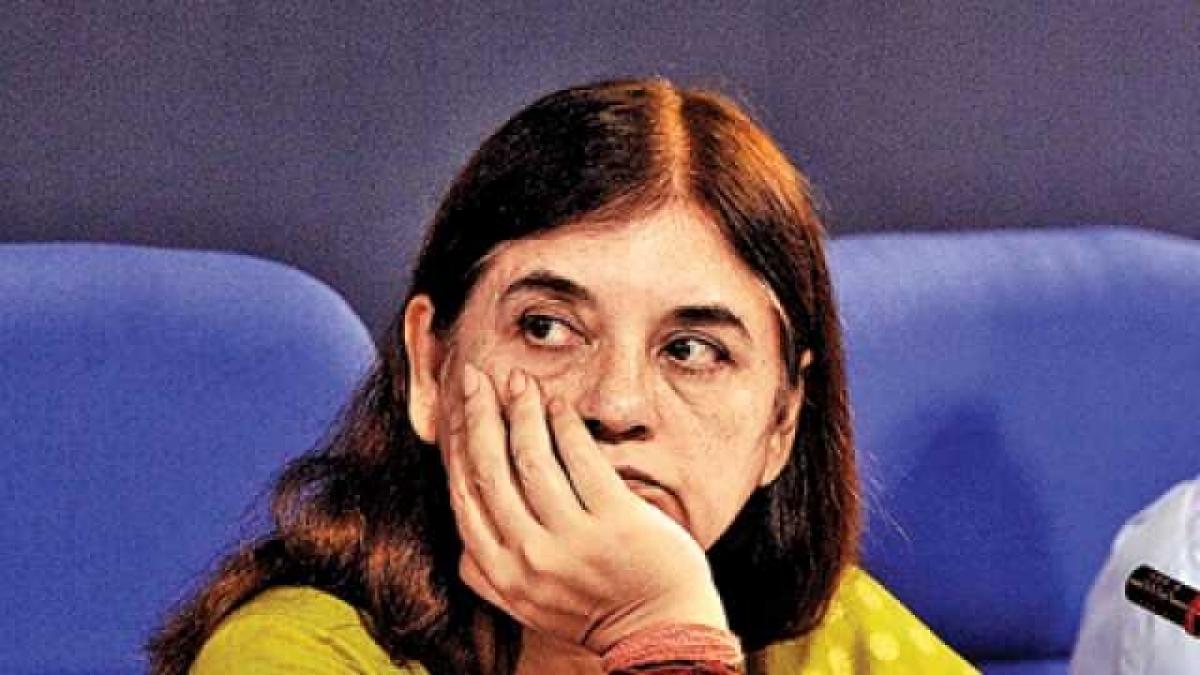 Sex determination test must to check female foeticide, says Maneka Gandhi