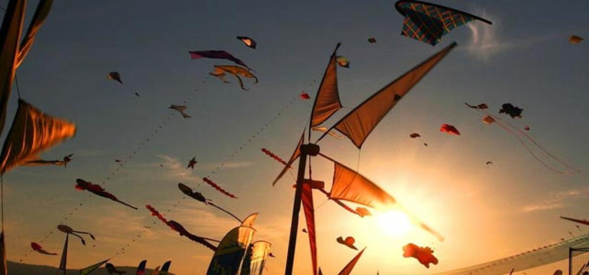 Killer kites: A major threat to birds