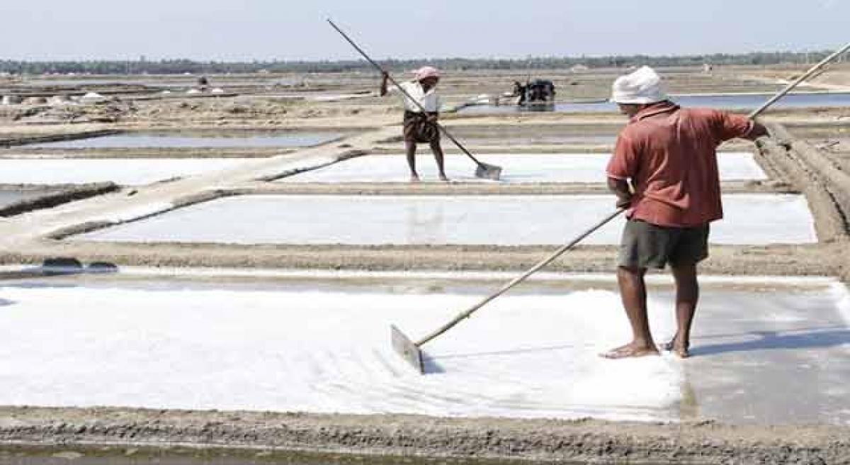 Salt farmers in dire straits as price falls