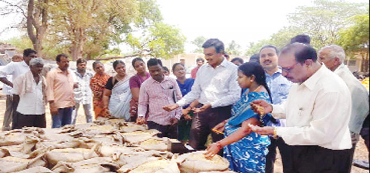 Telangana makes record procurement of paddy