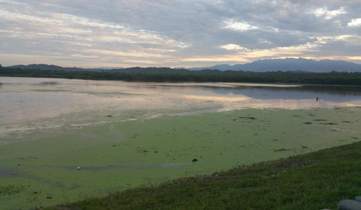 Chandigarhs landmark Sukhna lake fights for survival