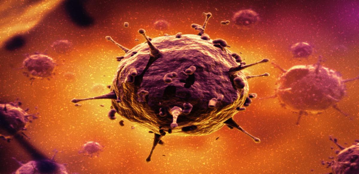 Ancient viruses that affected our ancestors 30 mn years ago found