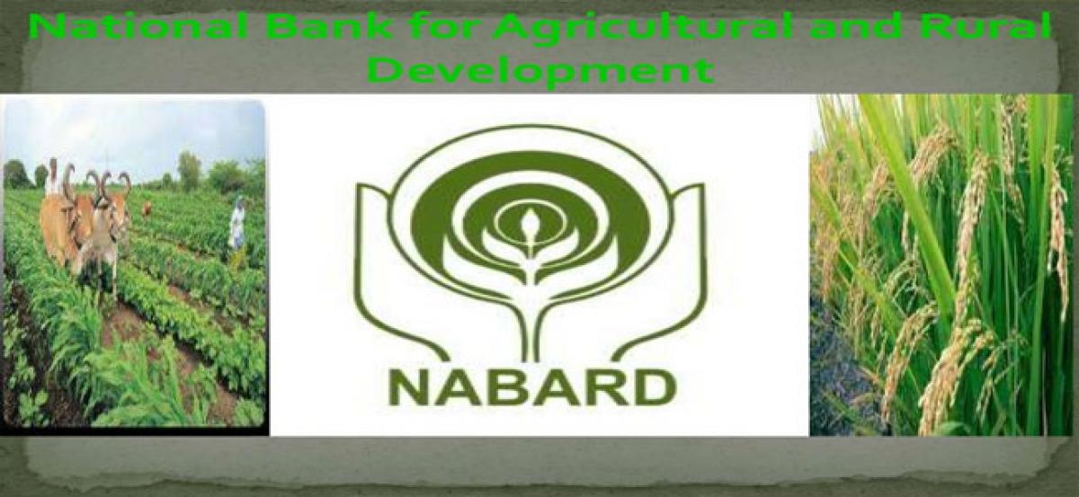 NABARD extends Dairy Entrepreneur Development Scheme to all social sections