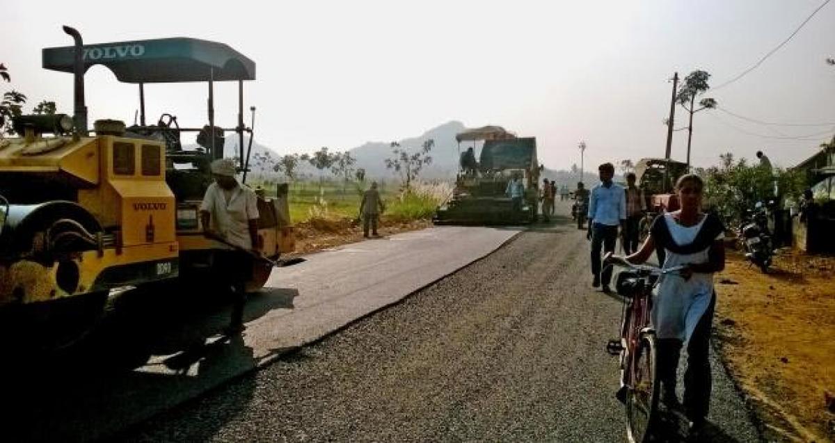 High Court stays road works in forest