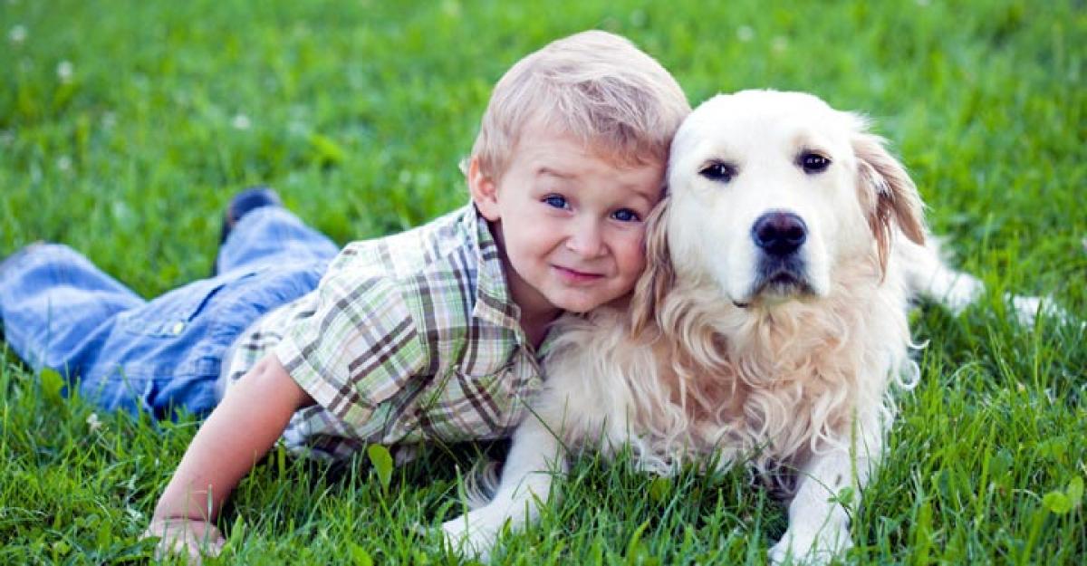 Therapy dogs can calm kids with cancer