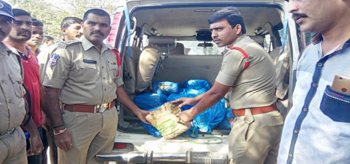 Five ganja peddlers held