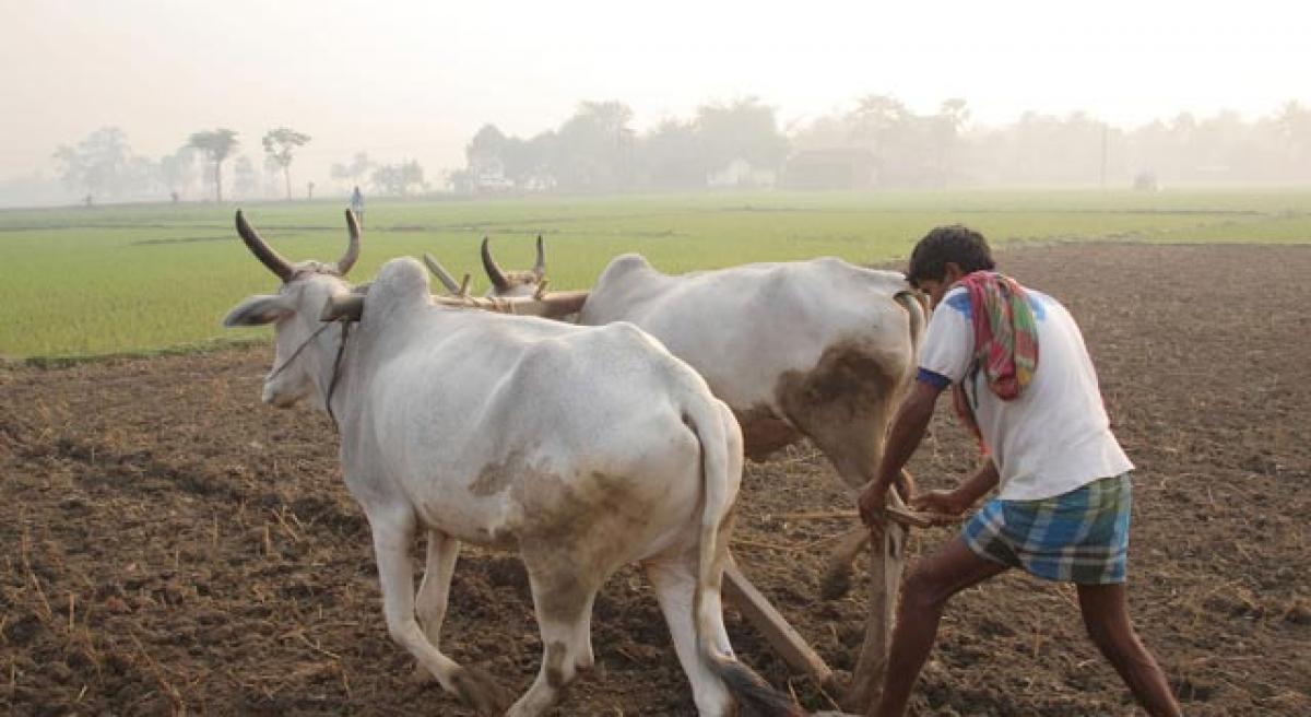 Make farming profitable for tenant farmers