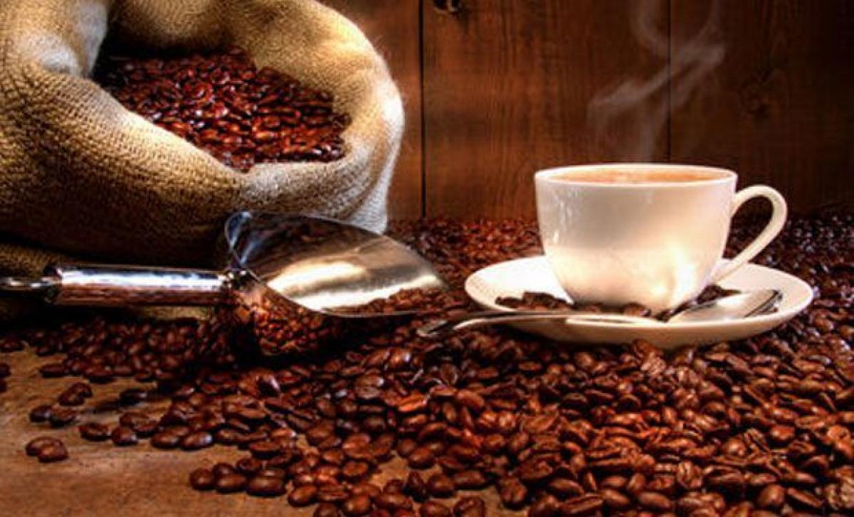 India set to record highest coffee production in 2015-16