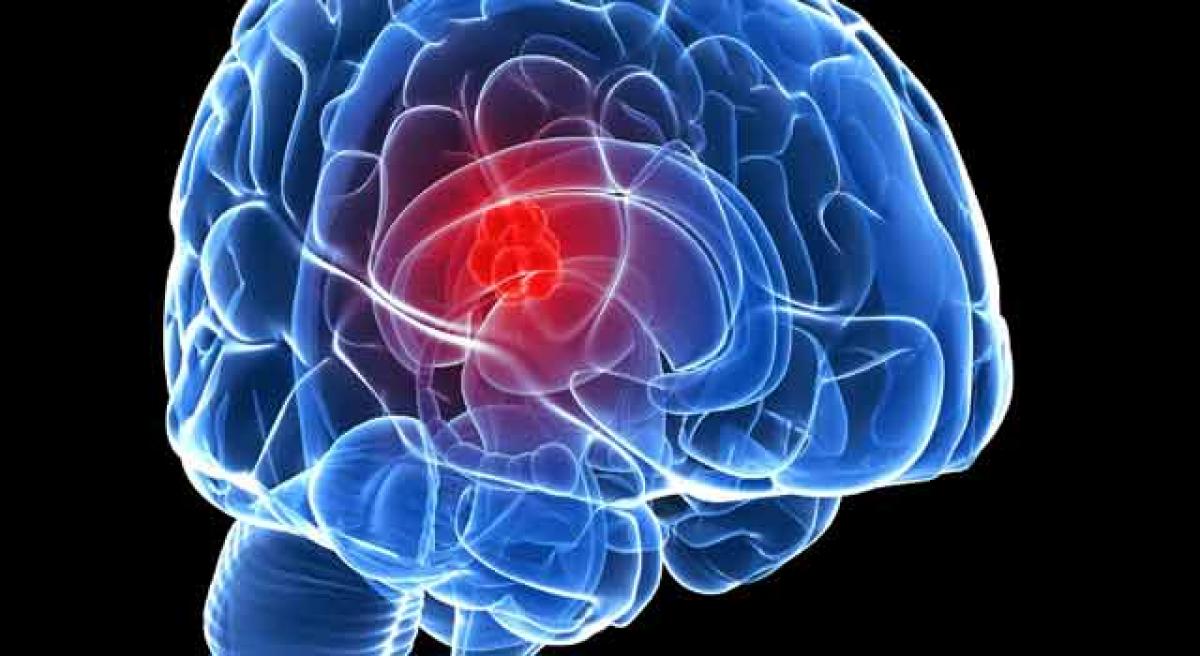 Tiny carrier helps treat brain tumour