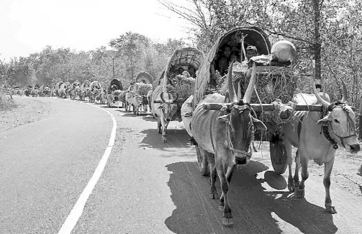 Medaram’s odyssey from bullock cart to helicopter