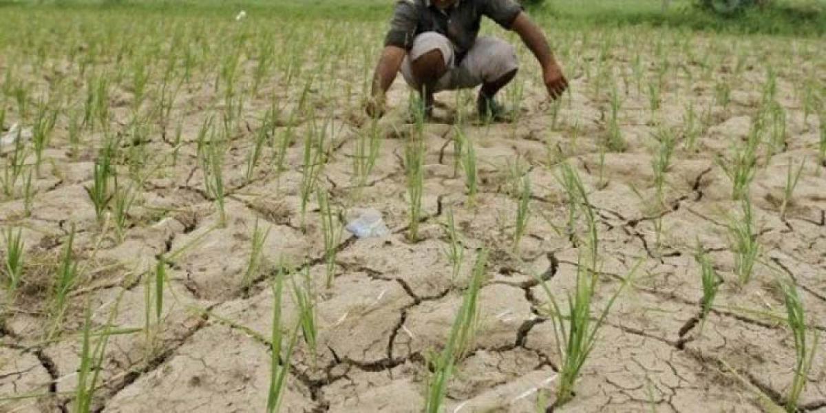 Rural distress worsens -Telangana declared Drought-hit mandals