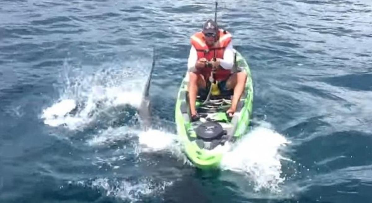 Shark Takes Bite Out Of Terrified Australians Kayak