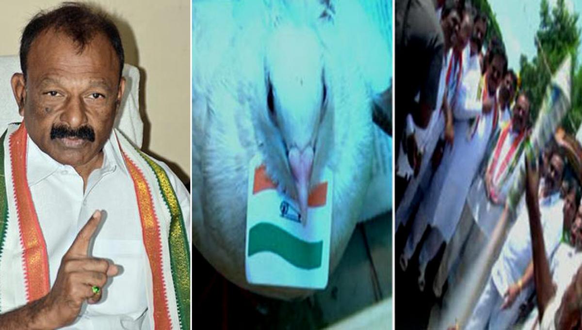 Raghuveera Reddy supporters welcome him by firing pigeon rockets