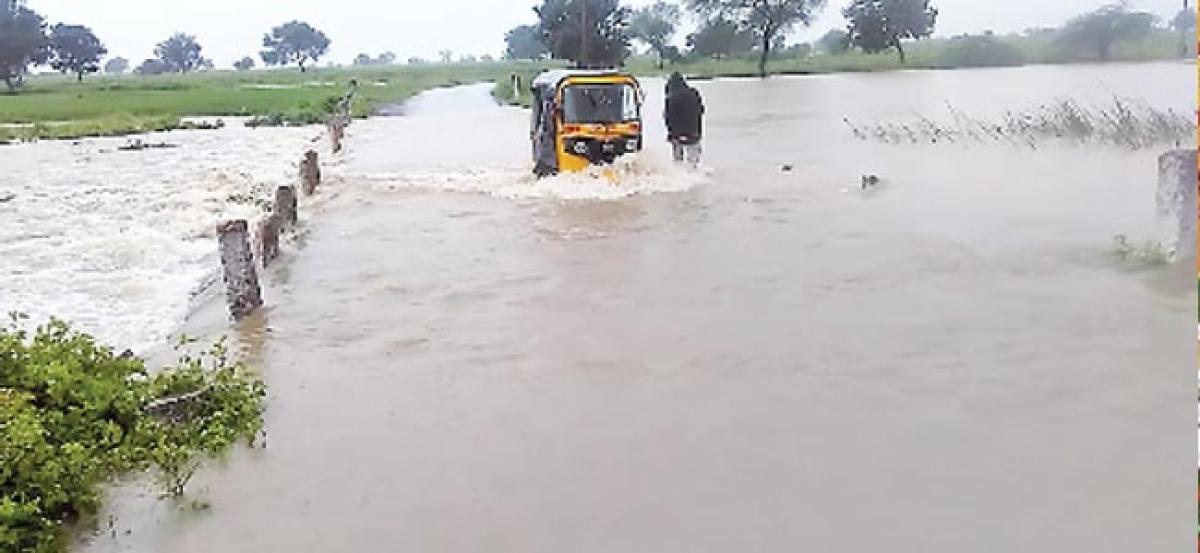 Rains bring cheer to farmers in Medak