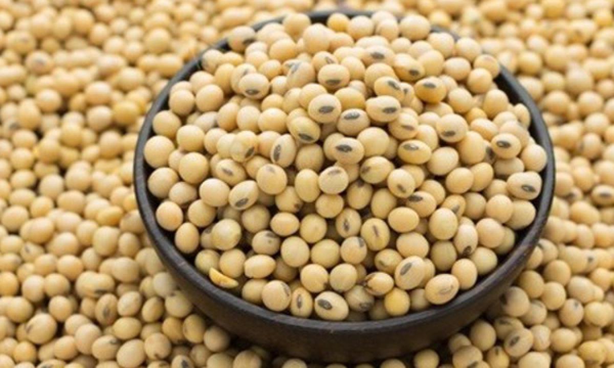 Soy protein in childhood linked to healthy bone in adulthood 