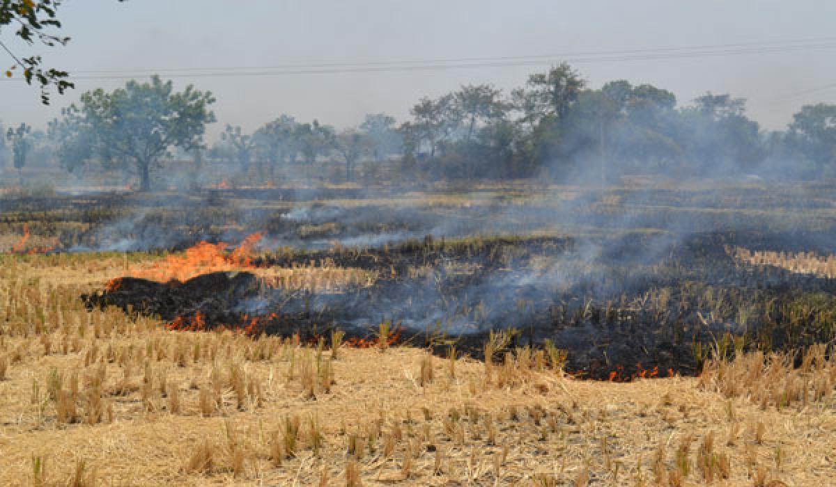 Concern over growing farm fires