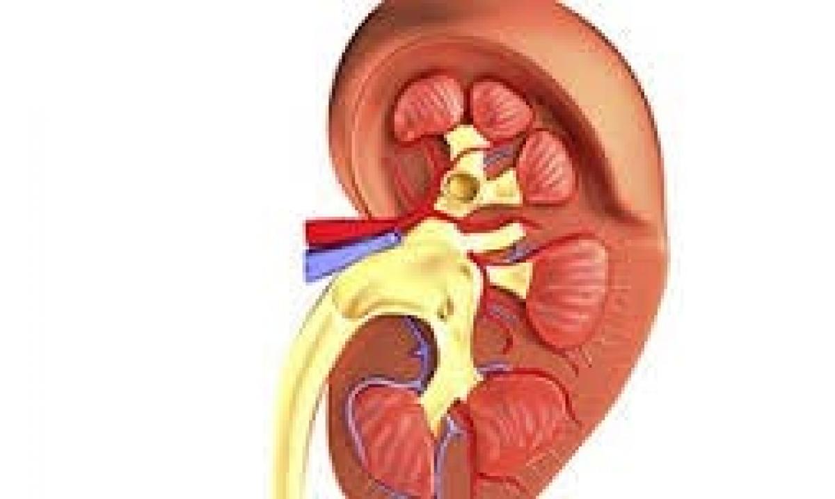 Obese young adults at high risk of kidney disease.