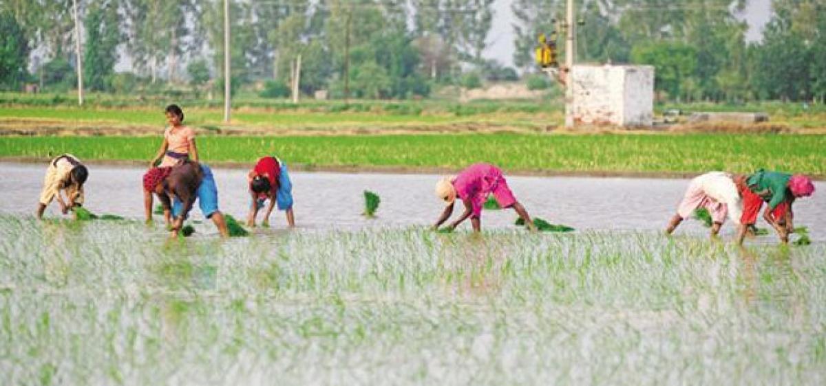 NITI Aayog wants agri income taxed