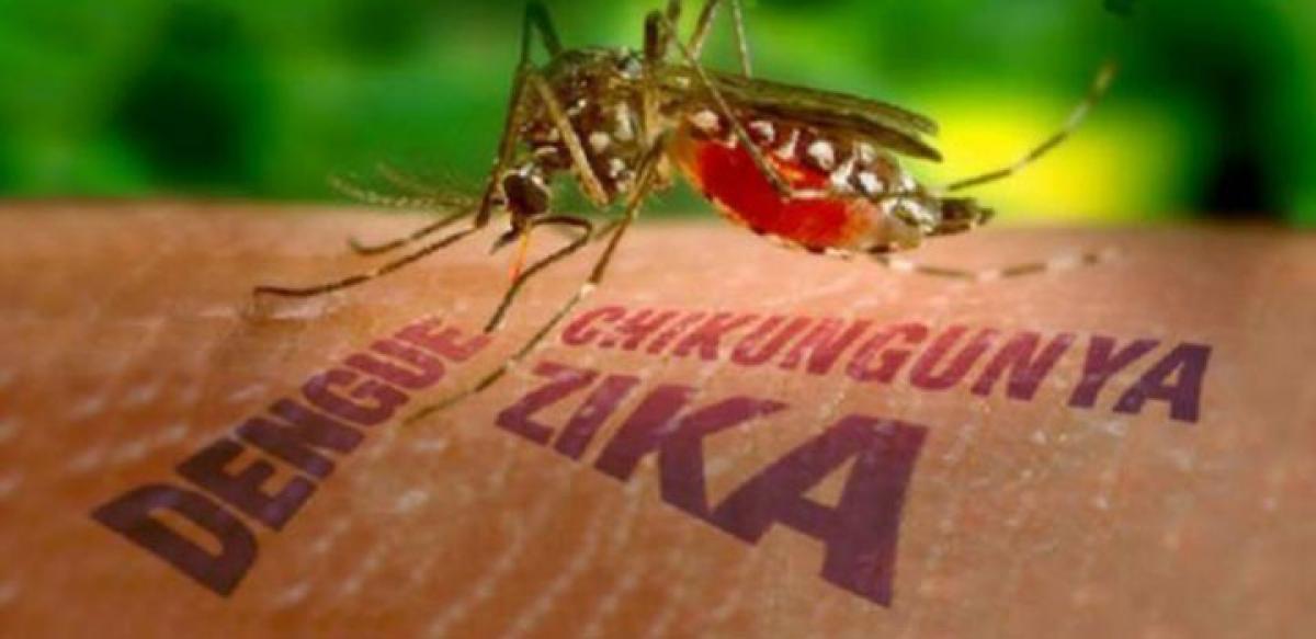 India prepares for Zika